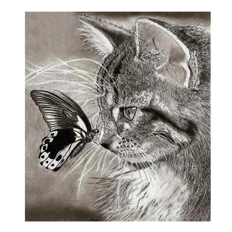 

Diy 5D Diamond Painting America Cat Round Diamond Mosaic Cross Stitch Kit Animal Diamond Full Diamond Embroidery Home Paintings