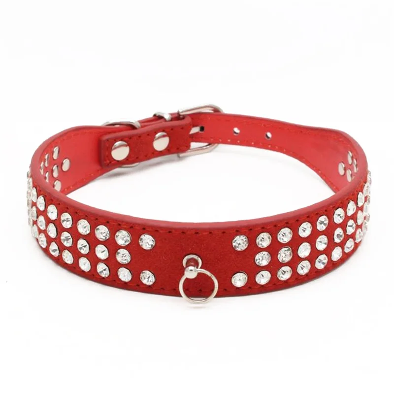 03 dog accessories 