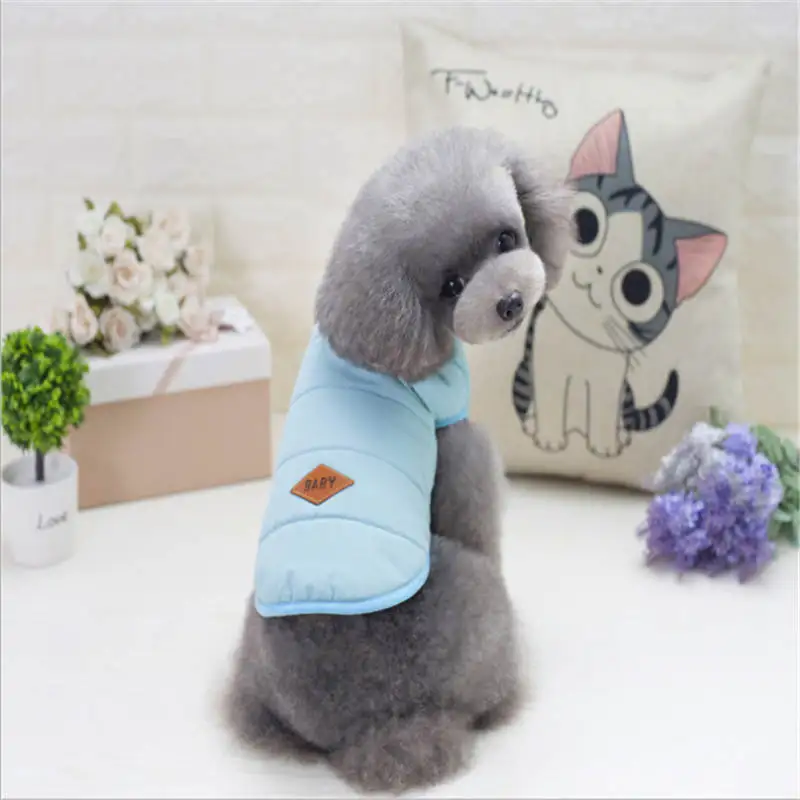QQ20190210155114