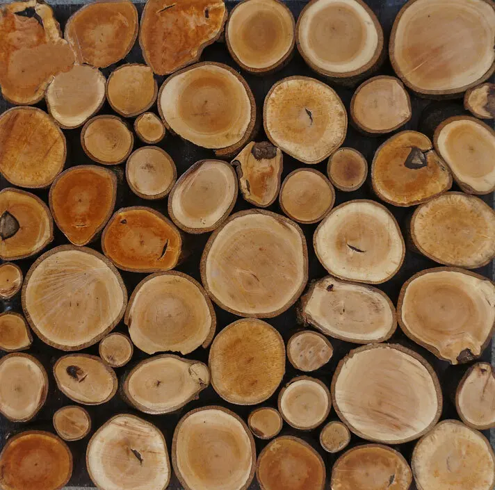 Round circle Wood mosaic tiles interior wall tiles TV ...