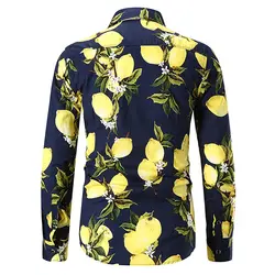 Для мужчин M-3XL Повседневное лимон шаблон рубашки Летний пляж тела окрашенная Для мужчин футболки с длинными рукавами 4 цвета