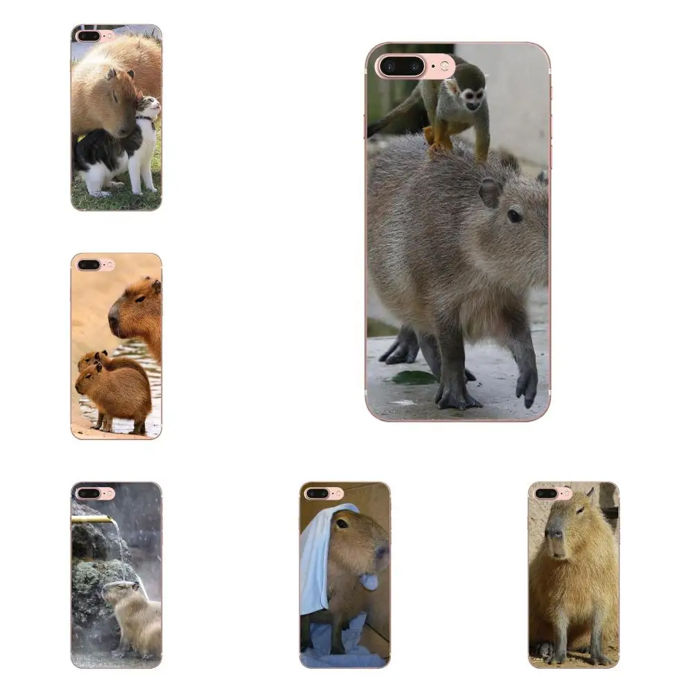 

Animal Capybara Soft Print Case For Galaxy J1 J2 J3 J330 J4 J5 J6 J7 J730 J8 2015 2016 2017 2018 mini Pro