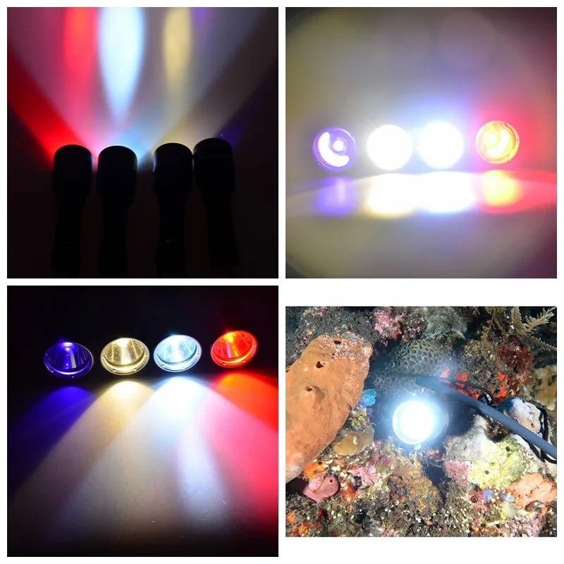 8009