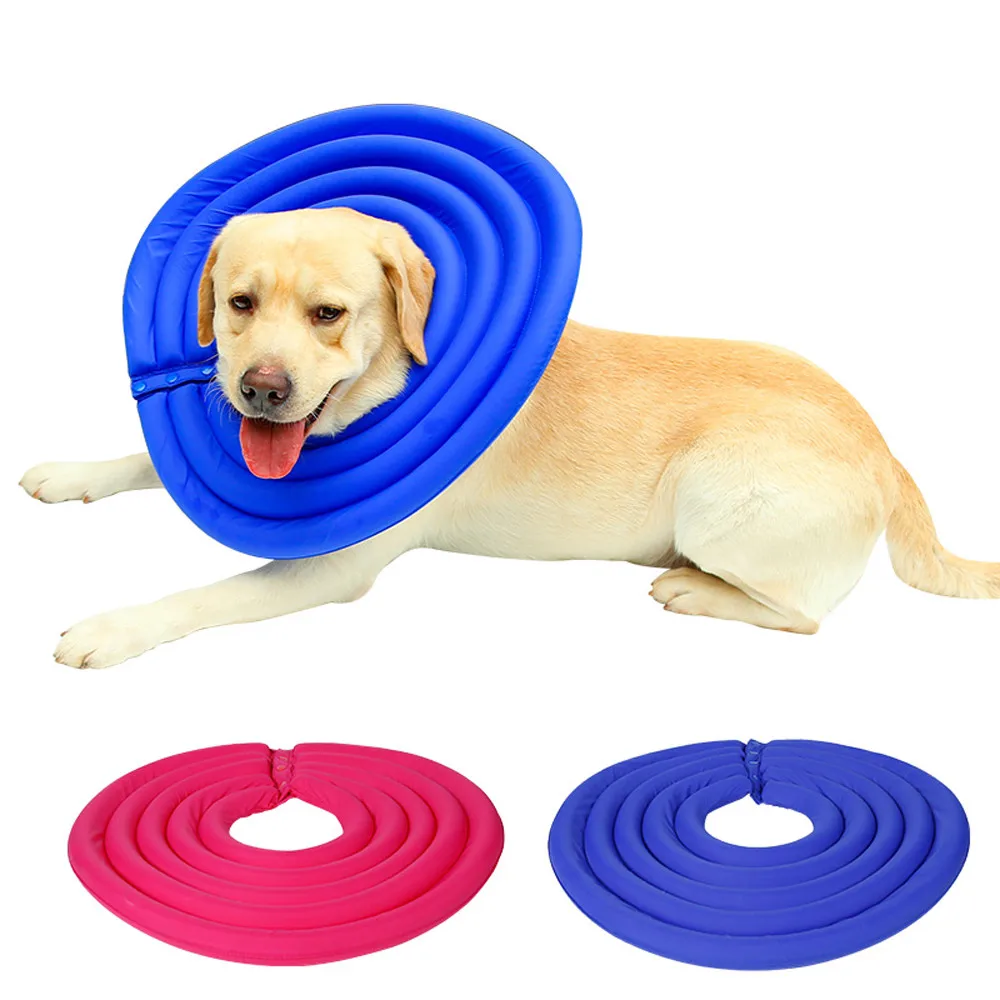 Healing Collars For Dogs Healing Collars For Dogs