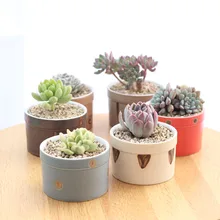 Набор из 6 японских трансмутации глазурованные керамические цветочные горшки для влагозапасающего растения домашние декоративные кактусы плантаторы