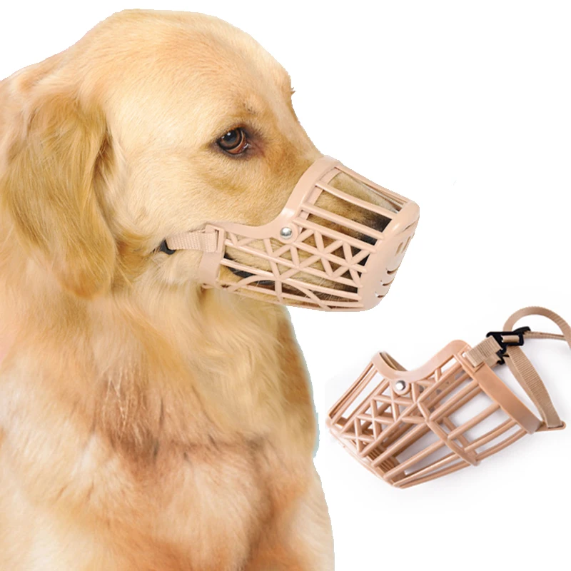 golden retriever muzzle