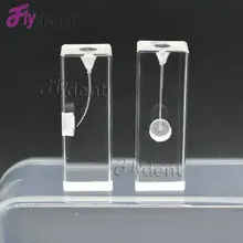 Стоматологический инструмент Модель Блок корневого канала endondontic файлы для стоматологических обучение студентов учебы Инструмент стоматологический инструмент