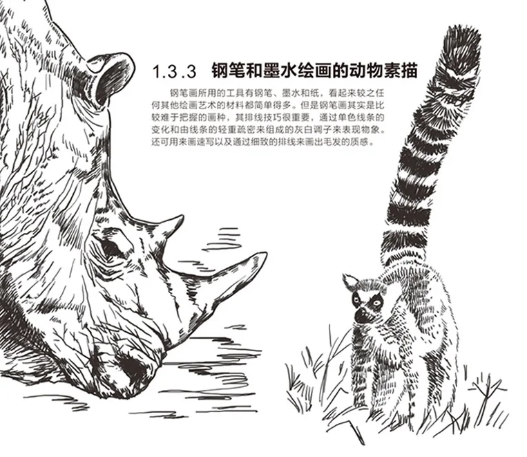  Pencil sketch books Beginner introductory teaching tutorial Pencil drawing books sketch basic book - 32844245662