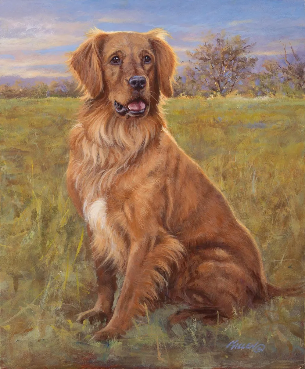 golden retriever