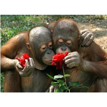 

5D DIY Diamond Painting monkey flower kiss Diamond Cross stitch thorn to draw full diamond embroidery kits home decoration W343