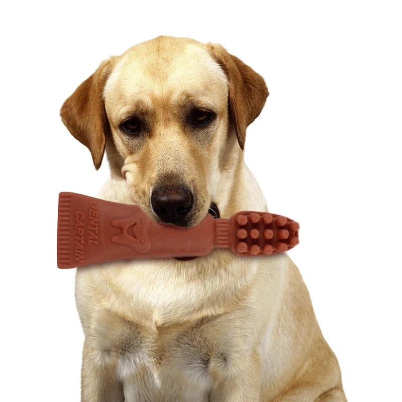 Домашние закуски собака зубы палка зубная щетка молярная палочка для чистки шлифовальных зубов удаление запаха полости рта
