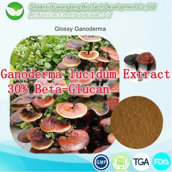 

5bottles Highest Pure Ganoderma lucidum Extract 30% Beta-Glucan 500mg x450capsule improves resistance against diseases
