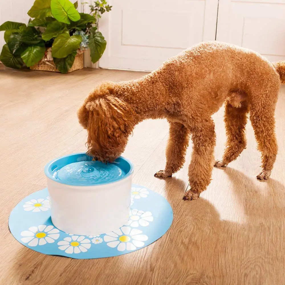 Pet Water Fountains,Cat Dog Water Fountain Pet Water Dispenser