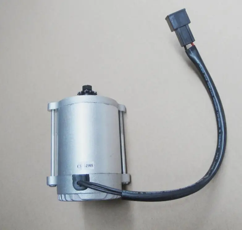 Матовый двигателя 300W24V Дельфин двигатель для мотоцикла электрическая
