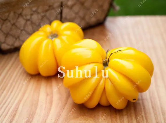 Free Shipping 200pcs Heirloom Giant Monster Tomato Bonsai Genuine Fresh Bonsai Very Rare Vegetables Bonsai For Home Garden Plant