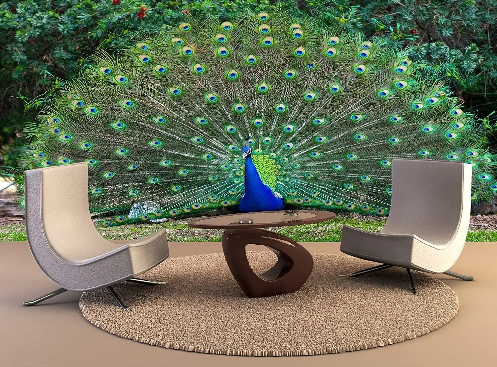 Custom Wallpaper Murals Peacock With Fanned Tail Self Adhesive Vinyl