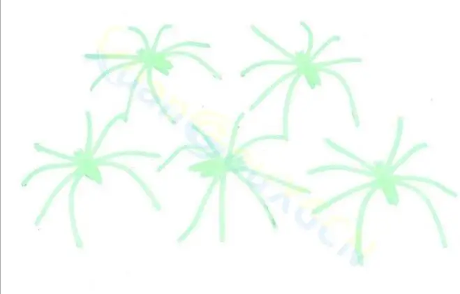 36020170808165209233