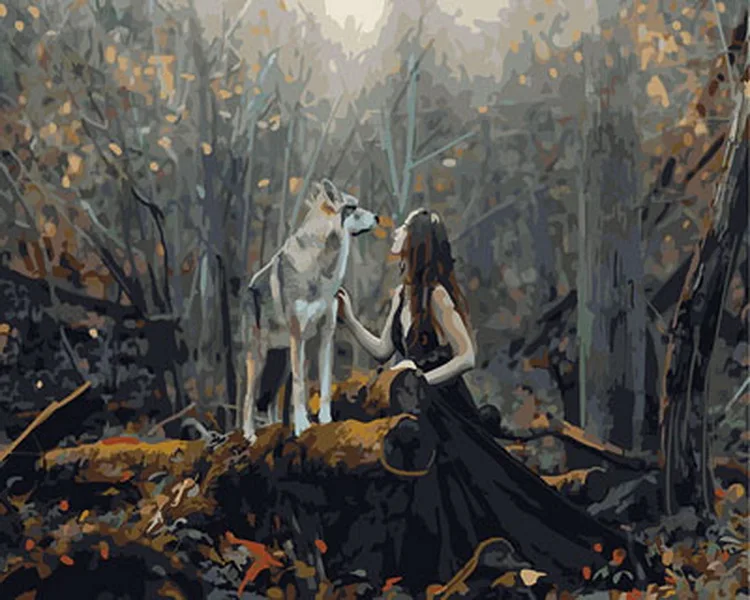 

Unframe diy oil picture oil paintings by numbers figure painting paint by number for home decor 4050cm lady with wolf