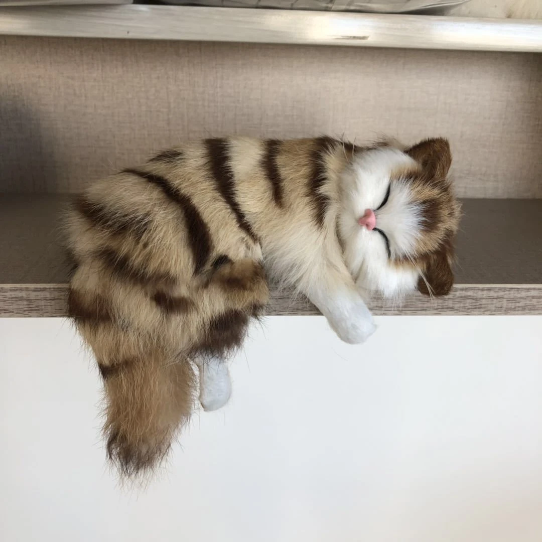 stuffed sleeping cat