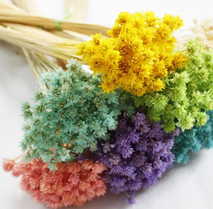 150 шт. сушеные цветы 1 см|mini dried flowers|flowers forflower for wedding |