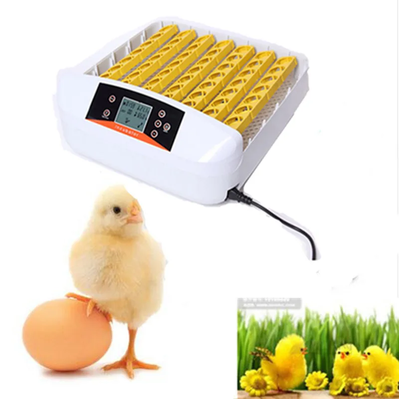 

Full-automatic eggs incubator chicken brooder digital temperature control quail egg hatching machine