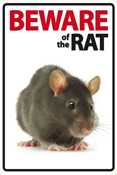 Beware of The Rabbit Plaque Vintage Metal Tin Signs Home Bar Pub Office Decorative Plate Rat Wall Sticker Garden Art Poster MN11 P