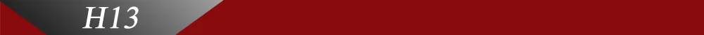 H13