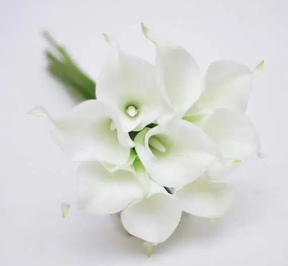 Nyata Sentuh Calla Lily Putih Bunga Tangan Pengantin Pernikahan Centerpieces Dekorasi Rumah Boutonnieres Korsase Bunga Sentuhan Nyata Touch Flower Real Touch Flowersreal Touch Calla Aliexpress