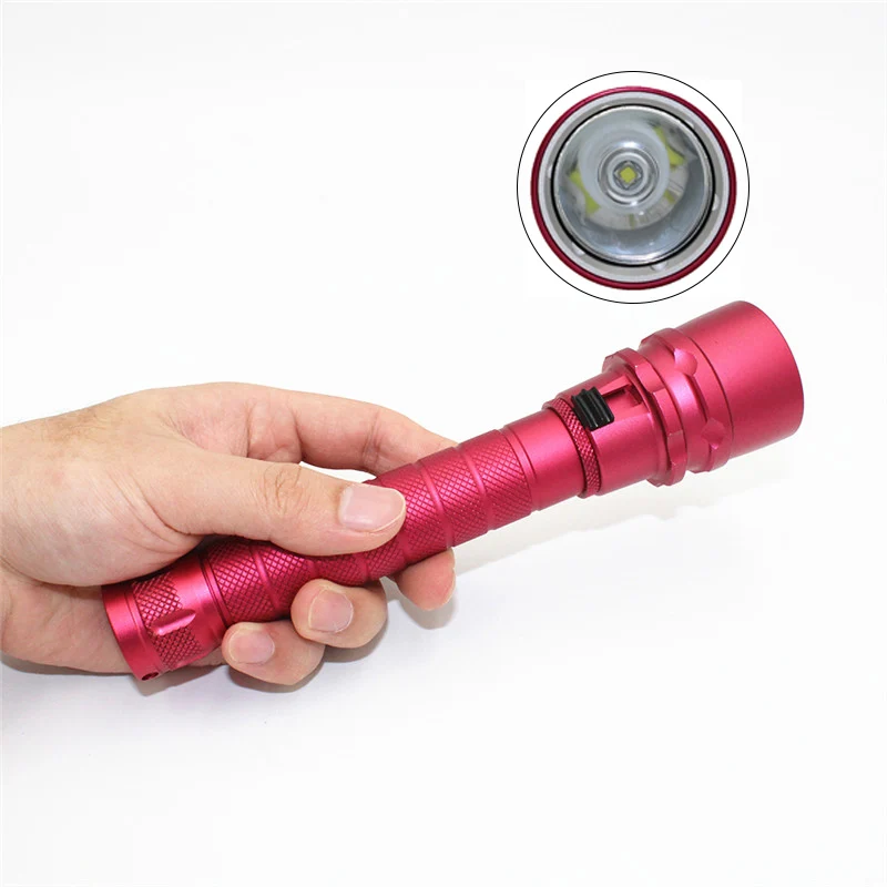 DL0048  (4)