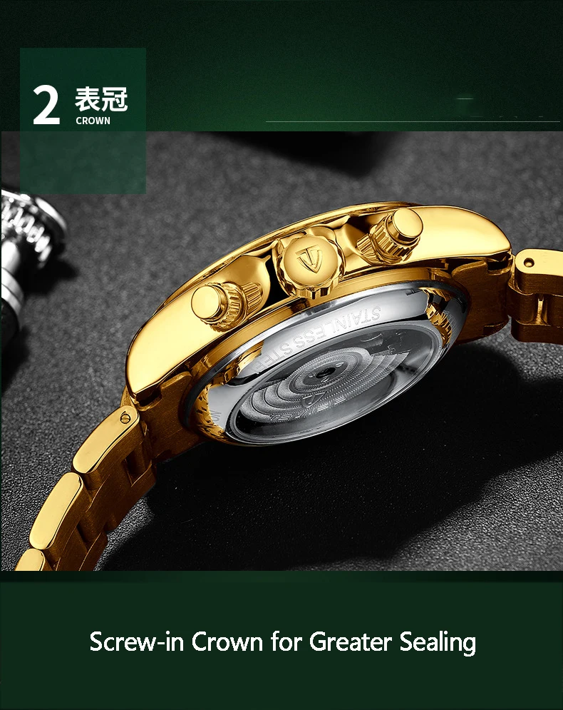 Tevise Men's Watches Automatic Mechanical Watches Luxury Brand Watch Men Male Golden Waterproof Wrist Watch Relogio Masculino