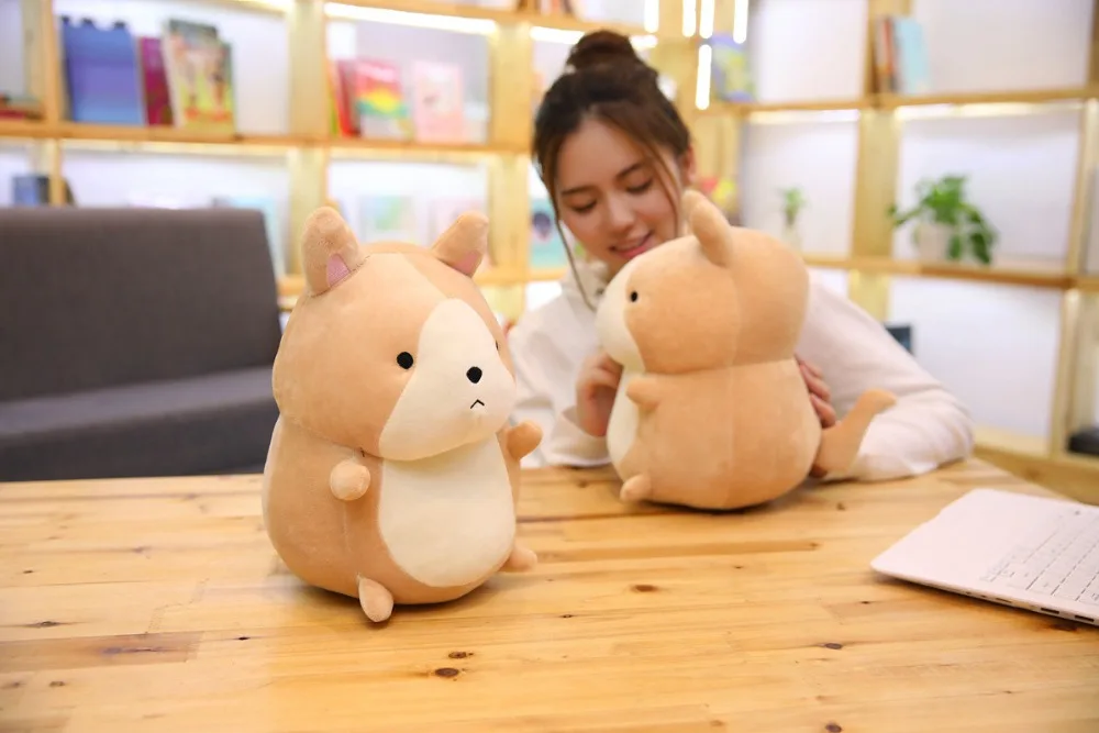 9057448967_526651954