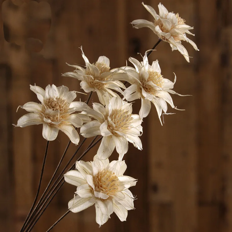 High Quality Dried Flower Natural Flowers Diy Materials Artificial