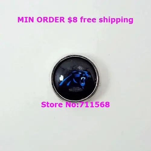 

Carolina Panthers Floating Charms National Football League Charm For Memory Glass Locket Accessories