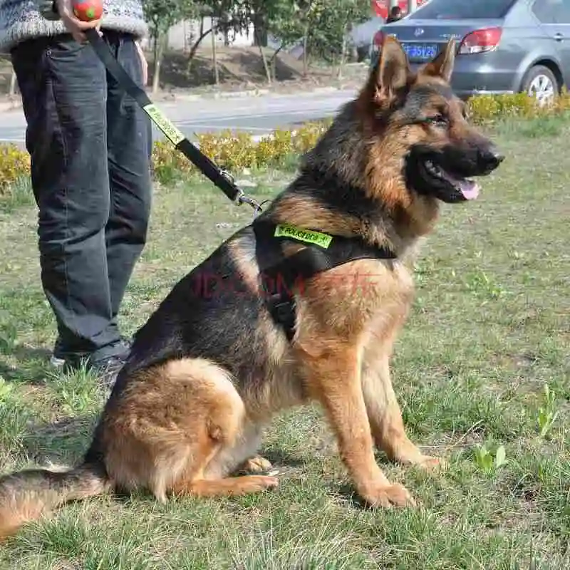 Police Dog harness Working Training Dog Collar Led Set Nylon