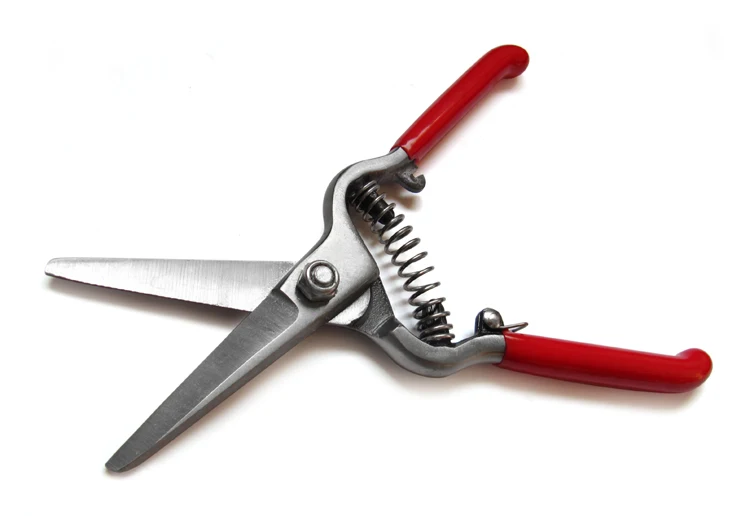 1pcs Gardening Tools 155mm Scissors straight edge branch fruit trees