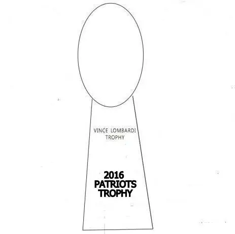 

2016 PATRIOTS football game 1:1 Full Size 52CM small size 24cm 33cm football trophy logo customed allowed