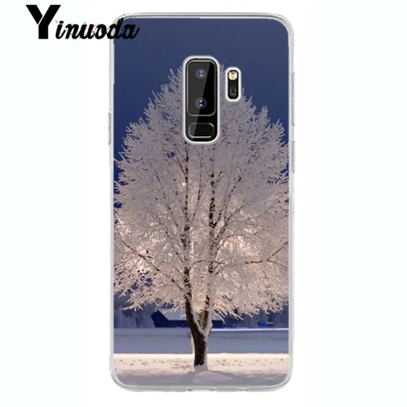 Landscape Winter Light Snow Christmas 