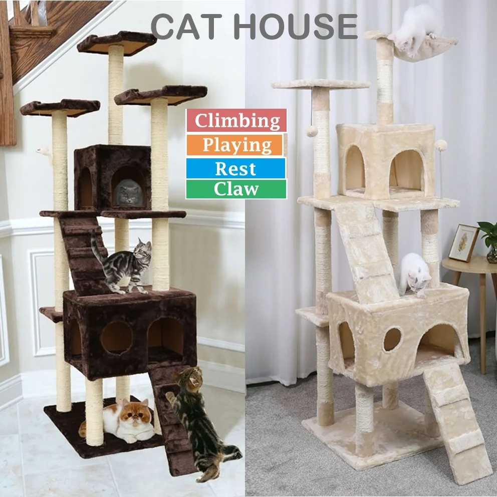 5ca9b7369d962e4a40bc50f3-original