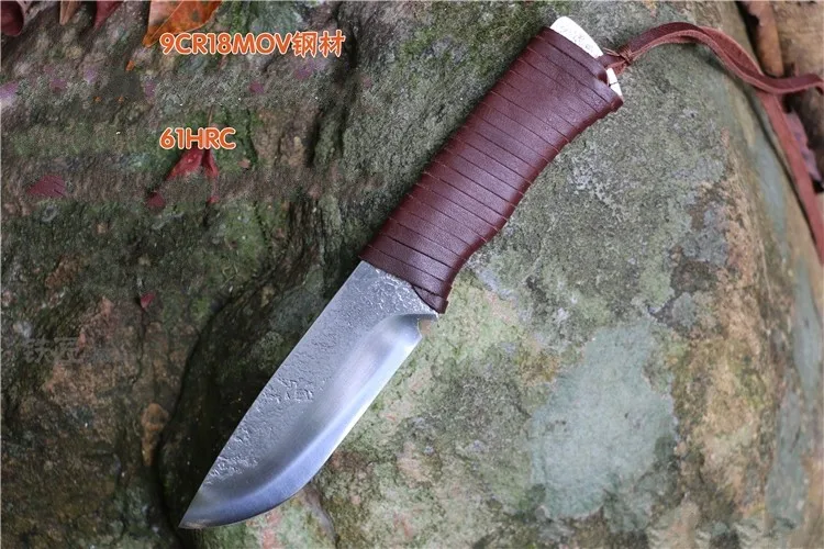 TB2QY9viFXXXXbjXXXXXXXXXXXX_!!2646315462