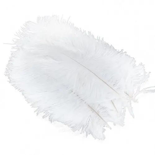 

10 Pieces White Natural Ostrich Feather 20-25cm Wedding DIY