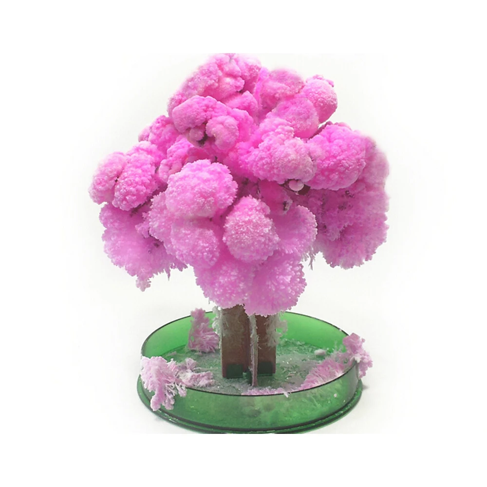 

2019 135mm H Japan Pink Big Magic Grow Paper Sakura Tree Magically Growing Trees Kit Desktop Cherry Blossom Christmas Kids Toys