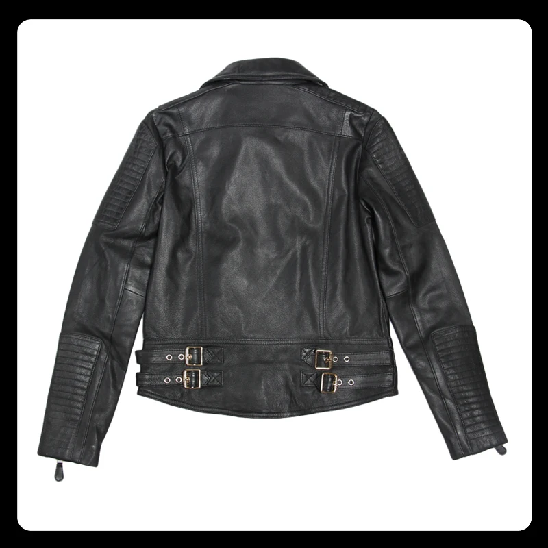 black back