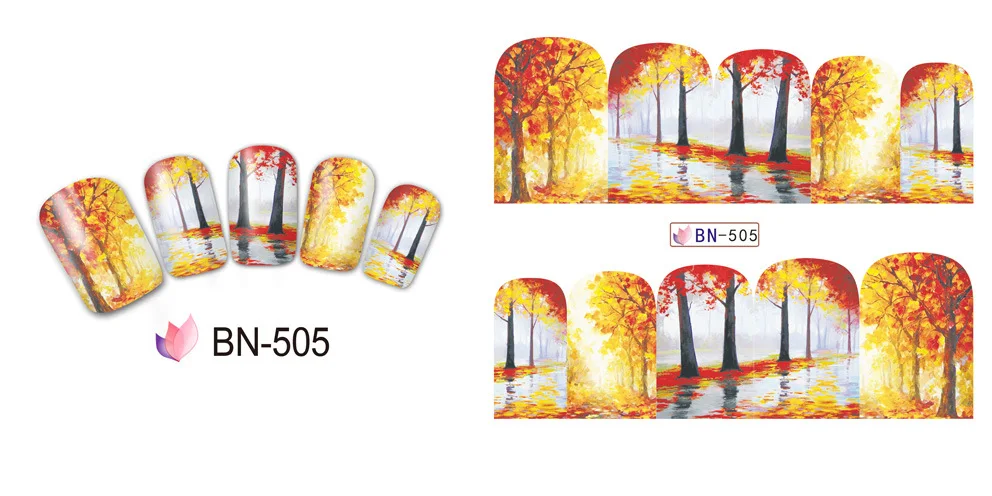 BN505