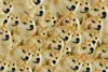 Doge God раздражающая собака головоломка 1000 кусочков древесины для взрослых сердечное заболевание Психическое похоронение загрязнение erhu яйц... ► Фото 1/4