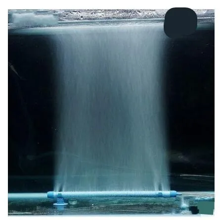 01_conew1