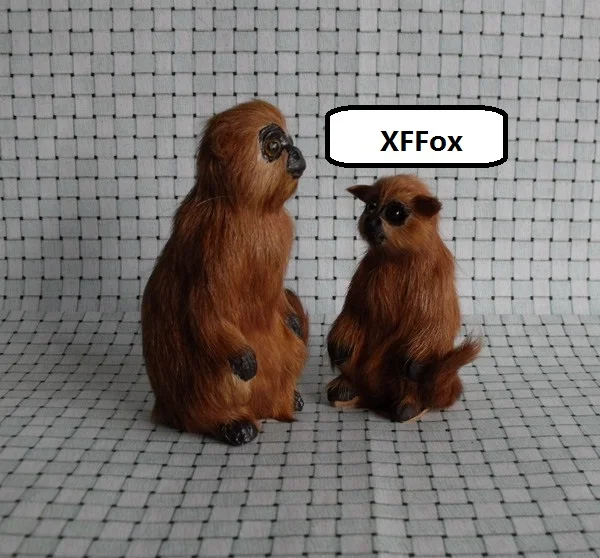 HTB1TKoCLXXXXXceXVXXq6xXFXXXb
