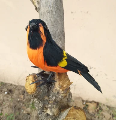 1085 48 De Réductionbelles Plumes Pie Oiseau Artificiel Environ 16 Cm Plumes Oiseau Artisanat Prop Maison Jardin Décoration Cadeau P2772 In