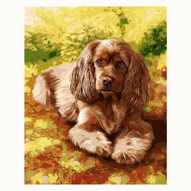 Lovely dog animal Painting By Numbers Canvas Painting picture by number