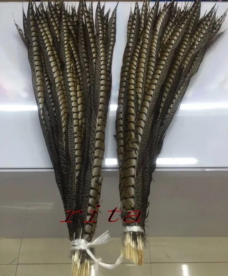 100pcs40-45cm16-18inch amherst перья фазана Природные Перья Шлейф объемные украшения из перьев