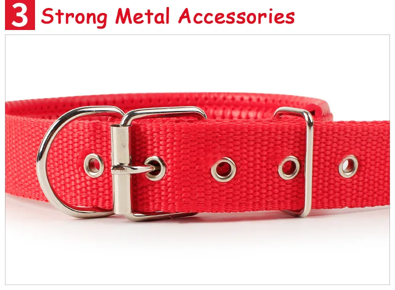 Nylon Medium Dog Collar (7)